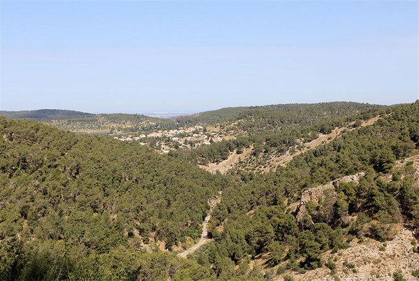 Eshtaol Forest, Nahal Kislaon and Mount Carmila Circuit, Jerusalem, Israel  - Map, Guide