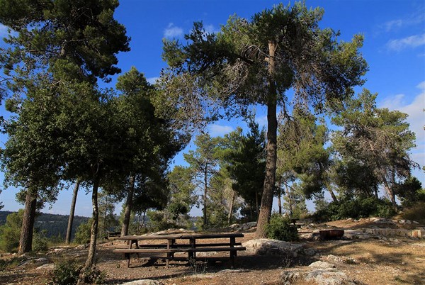 The KKL-JNF recreation area at Mishlat 15. Photo: Yaakov Shkolnik