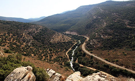 A view of Nahal Sorek. Photo: Yaakov Skolnik