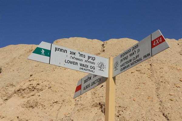 A signpost. Photo: Yaakov Shkolnik
