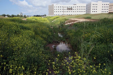 Photo: KKL-JNF Photo Archive