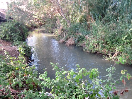 Photo: KKL-JNF Photo Archive