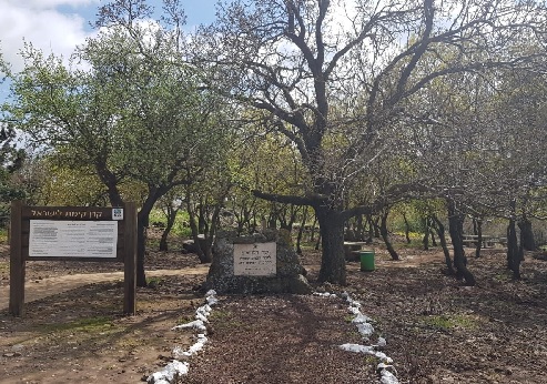 The 679th Brigade Fighters Recreation Area. Photograph: Meital Katzir, KKL-JNF Photo Archive
