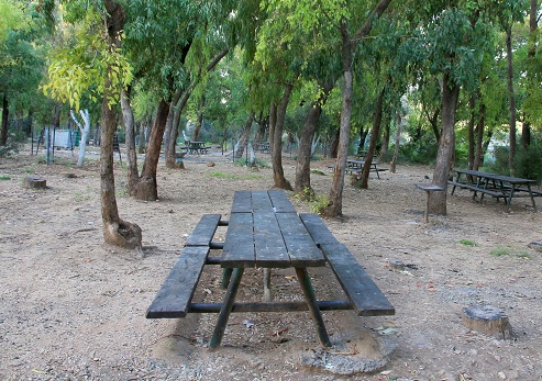Iron Forest Recreation Area. Photograph: Yakov Shkolnik, KKL-JNF Photo Archive 