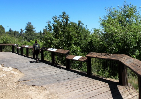 Nes Harim Overnight Camping Site, American Independence Park. Photograph: Yaakov Shkolnik, KKL-JNF Photo Archive