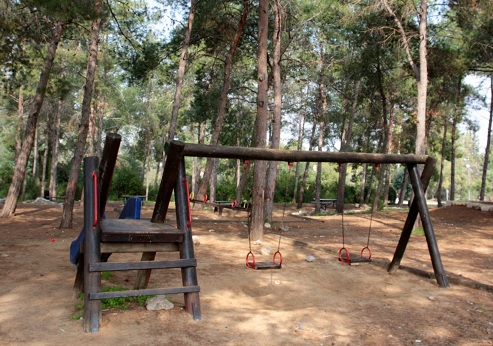 Horashim Forest. Photograph: Yakov Shkolnik, KKL-JNF Photo Archive
