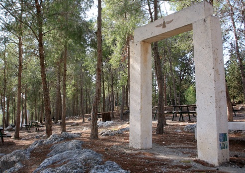 HaMeginim Forest. Photograph: Yakov Shkolnik, KKL-JNF Photo Archive