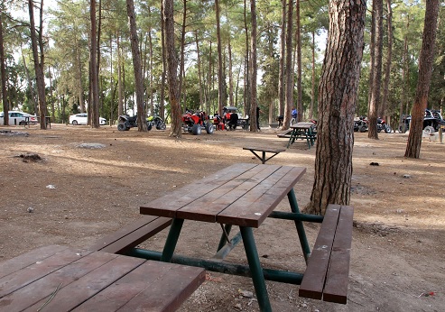 Oren Zamir Recreation Area. Photograph: Yakov Shkolnik, KKL-JNF Photo Archive