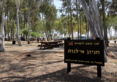Ilanot Forest. Photograph: Yakov Shkolnik, KKL-JNF Photo Archive