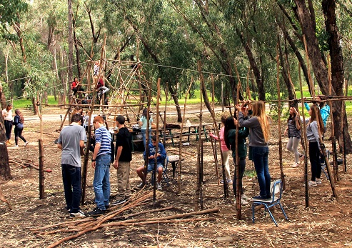Kadima Forest. Photograph: Yakov Shkolnik, KKL-JNF Photo Archive