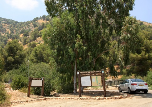 (Lower) Nahal Kadesh Park Recreation Area. Photograph: Yakov Shkolnik, KKL-JNF Photo Archive