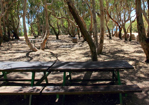 Ahituv (Betzet) Recreation Area. Photograph: Yakov Shkolnik, KKL-JNF Photo Archive