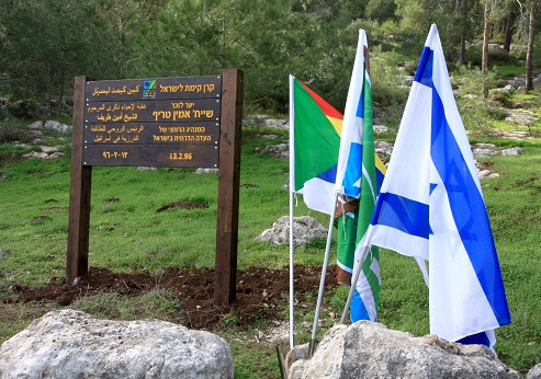 Sheik Amin-Tarif parking lot at Ahuhud Forest. Photograph: Yakov Shkolnik, KKL-JNF Photo Archive