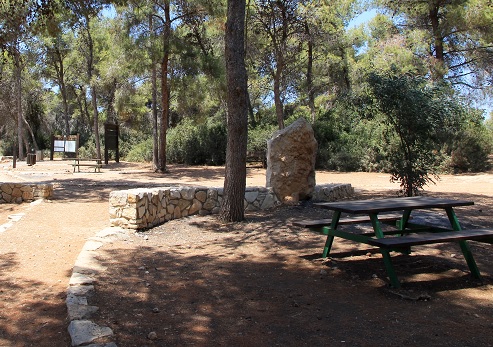 Hof HaCarmel Forest (Ofer Forest). Photograph: Yakov Shkolnik, KKL-JNF Photo Archive