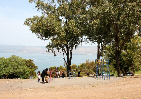 Switzerland Forest Recreation Areas. Photograph: Yakov Shkolnik, KKL-JNF Photo Archive