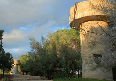 Hill 69 in the Hassa Forest. Photograph: Yakov Shkolnik, KKL-JNF Photo Archive