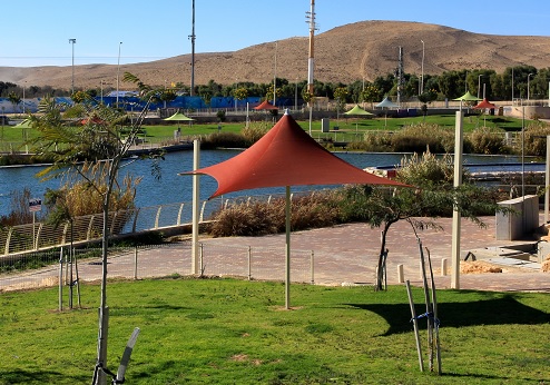 Ben Gurion Park in Dimona. Photograph: Yakov Shkolnik, KKL-JNF Photo Archive