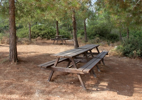 Gal'on Fortress Recreation Area in the Guvrin Forest. Photograph: Yakov Shkolnik, KKL-JNF Photo Archive