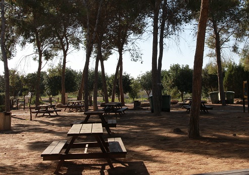 Black Arrow (Hetz Shahor) Monument in the Nahal Hanoun Forest. Photograph: Yakov Shkolnik, KKL-JNF Photo Archive