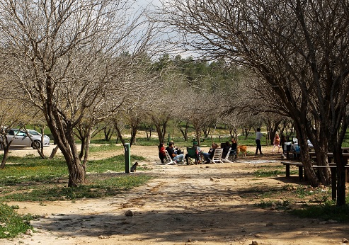 Meitar Forest. Photograph: Yakov Shkolnik, KKL-JNF Photo Archive