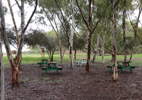 HaBe'er Camping site, Shokda Forest. Photograph: Yaakov Shkolnik, KKL-JNF Photo Archive