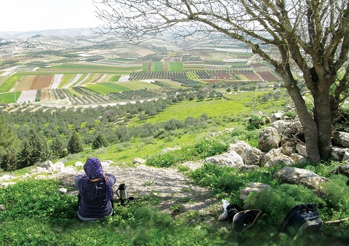 Landscape view from the park