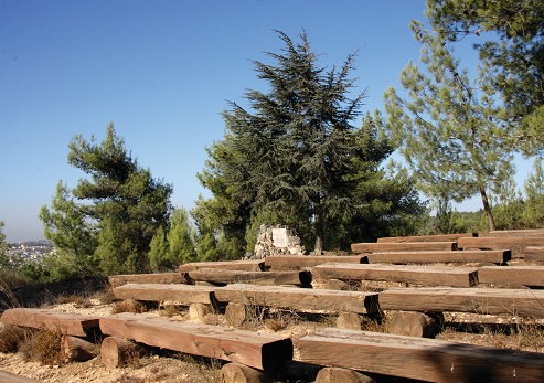 Open classroom at the Teachers Union Forest