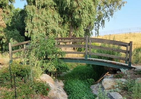 Orvim Park. Photograph: Pnina Tzeizler, KKL-JNF Photo Archive