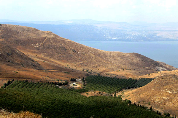 Photo: Tanya Ziskind