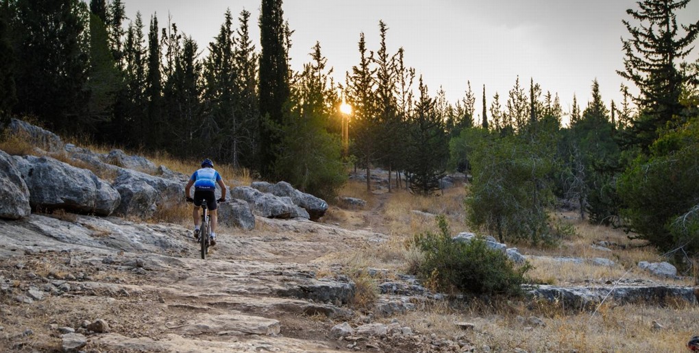 Riding into the sun. Photograph: Ilan Schaham, KKL-JNF Photo Archive