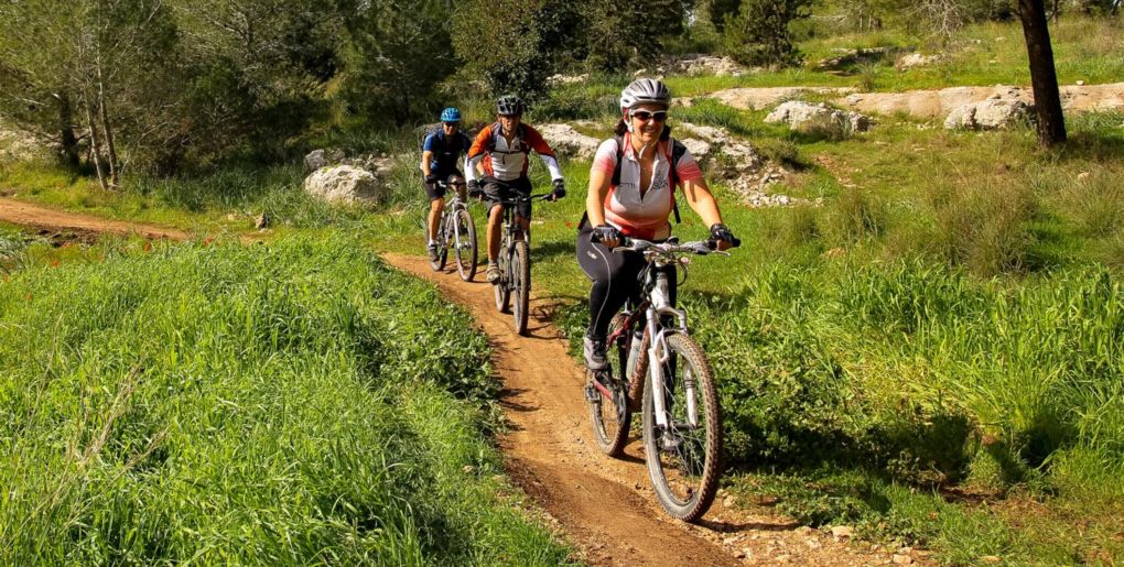 Single-tracks in Ben Shemen. Photograph: Yoav Lavi, KKL-JNF Photo Archive