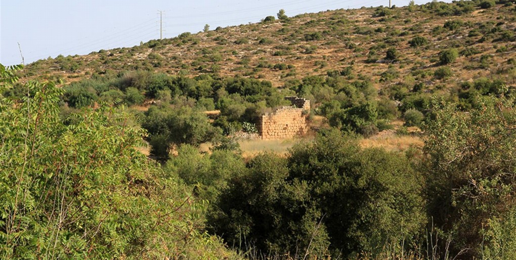 Photo: Ruined house that survived from the village of Allar. Photo: Yaakov Shkolnik