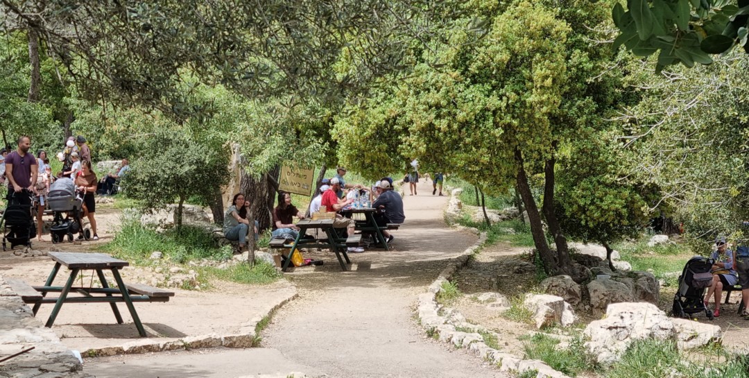 Accessible Forests, Parks and Sites in Israel Keren Kayemeth LeIsrael