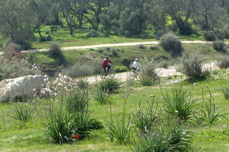 Ofakim Park. Photo: Tania Susskind