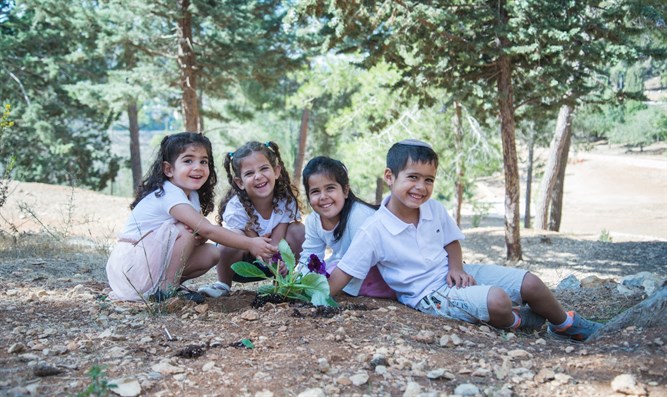 Tree planting. Photo: Avi Hirschfeld