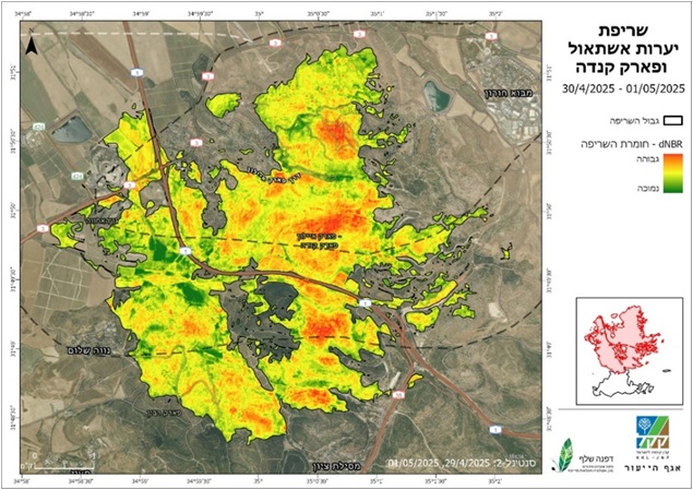 Illustration 2. dNBR map of the Memorial Day Fire (Eshtaol Forest and Canada Park) April 30-May 1, 2025