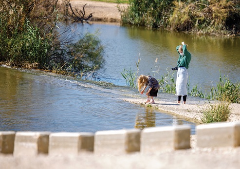 The Pipe Bridge on the stream's west bank
