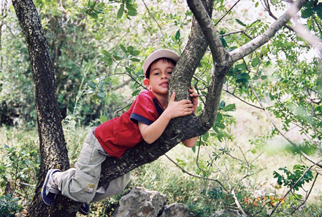 Photograph: KKL-JNF Photo Archive