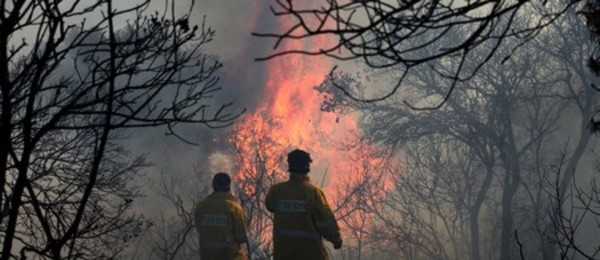 2010 Carmel fire. (Photo: KKL-JNF Photo Archive)

