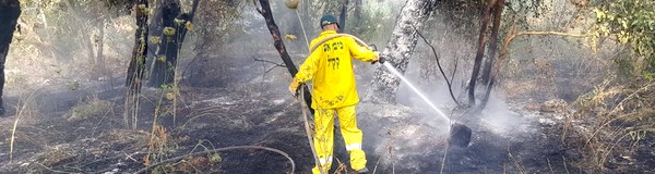 KKL-JNF firefighter puts out a fire in Ben Shemen Forest. Photo: KKL-JNF