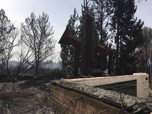 Zaglambia Martyrs Forest completely destroyed by fire. Photo: Eli Hen, KKL-JNF Forester