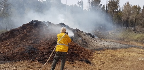 Putting out a fire next to Moshav Tarum in the Jersualem Hills. Photo: Rafael Bitton, KKL-JNF Forester