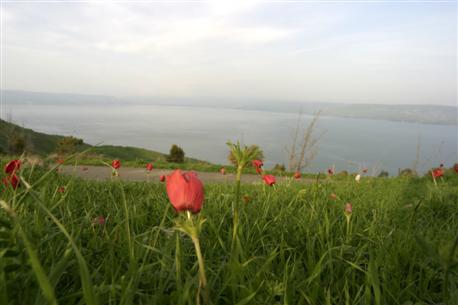 View of Lake Kinneret from Swiss Forest. Photo: Avi Hirschfied, KKL-JNF Photo Archive