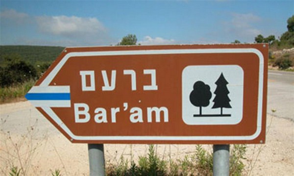 The Ancient Baram synagogue. Photo: Yaakov Shkolnik Baram forest. Photo ...