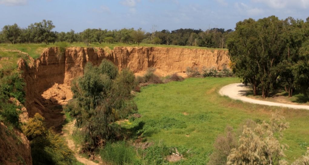 Photo: Yaakov Shkolnik