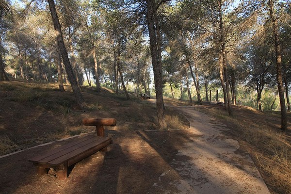 Beeri forest, the Gerar river. Photo: Yaakov Shkolnik