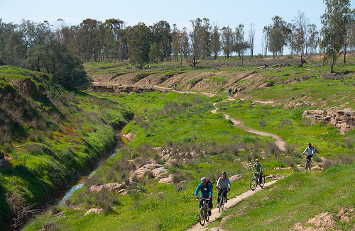 Single Beeri. Photo: Ilan Saham.