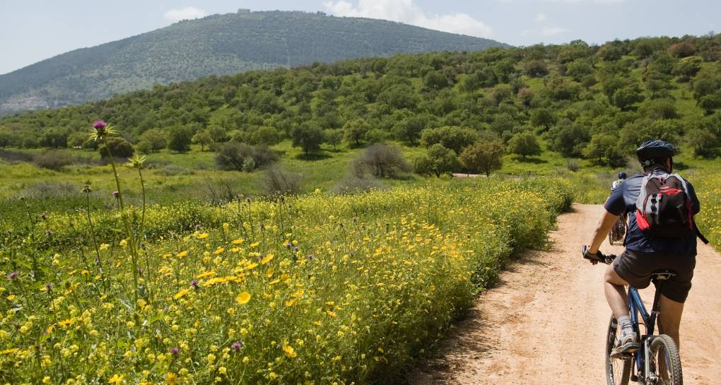 Bicycles in Beit Keshet forest. Photo: KKL JNF Photo Archive
