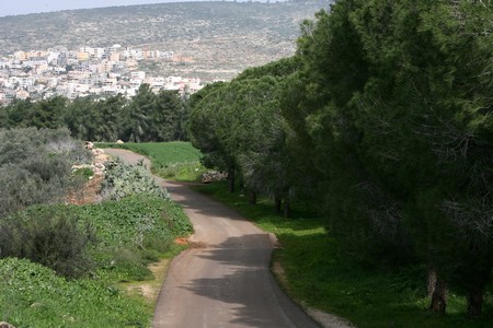 Photo: KKL-JNF Photo Archive