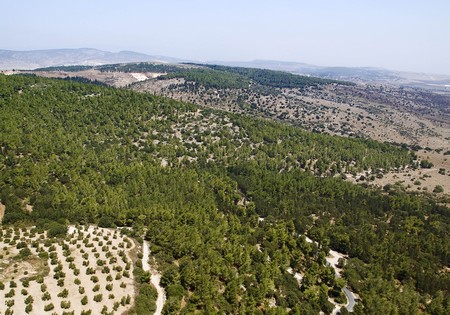 Photo: KKL-JNF Photo Archive